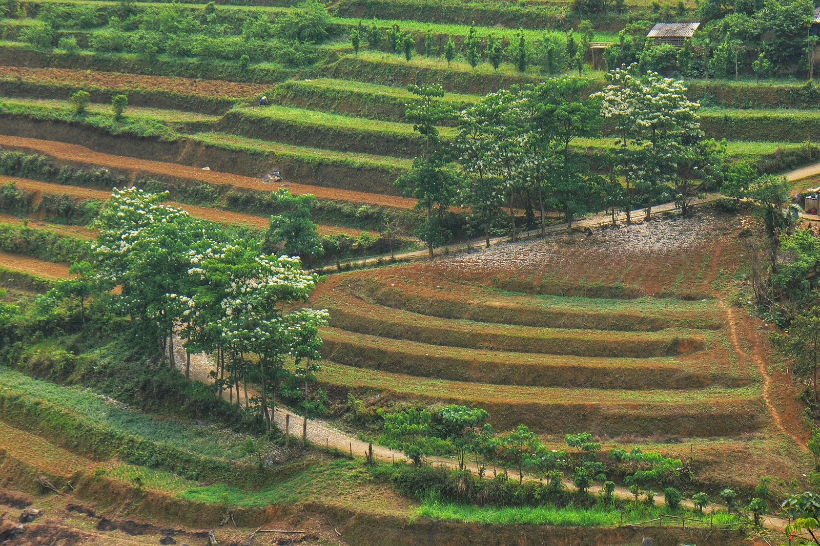 Northern Vietnam Cycle Trip 7 Days